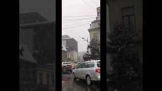 Romania winter session 🥶romanian bucarest wintercollection srilankanews 🇹🇩 [upl. by Elena]