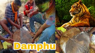 Making Damphu from Tiger Skin for Holi trending [upl. by Eldin]