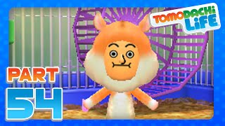 Tomodachi Life  Part 54  My Pet Hamster Rodri 3DS [upl. by Llirret]