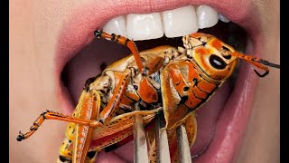 The Rise of Entomophagy  Exploring the Benefits and Challenges of Eating Insects 5 Minutes [upl. by Ernestus]