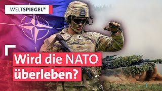 Schlimmste Krise für die NATO seit Gründung vor 75 Jahren  Weltspiegel Extra [upl. by Haonam]