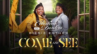 Celestine Donkor  Come and See Ft Piesie Esther [upl. by Slein]