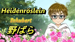 野ばら シューベルト Heidenröslein  Schubert [upl. by Mayworm]