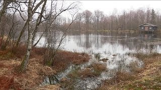 Le plateau des 1000 étangs en HauteSaône classé sous un nouveau label [upl. by Eilrac]