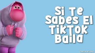 Si Te Sabes El TikTok Baila  2024 [upl. by Mia351]