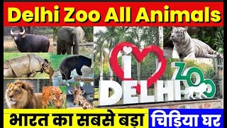 National Zoological Park Delhi  Delhi Zoo Full Tour amp Guide  Delhis Chidiya Ghar [upl. by Leiba971]