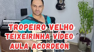 Como Tocar TROPEIRO VELHO  Acordeon SOLO CANTO COMPLETO [upl. by Iong]