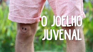 O Joelho Juvenal de Ziraldo  O Baú da Camilinha  Contação de Histórias [upl. by Bat268]