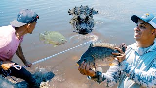 Pesca de Lagartos y Tilapias  Pesca y Cocina [upl. by Ynohtnanhoj]