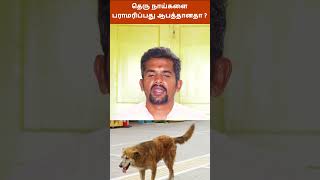 Leptospirosis உங்கள் நாய் மூலியமாக வரலாம் ஜாக்கிரதை Its Danger to pet street dogs [upl. by Lanford]