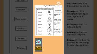 ecosystem  biotic and abiotic components worksheet and answers biology DeepuStudyresources [upl. by Schroth]