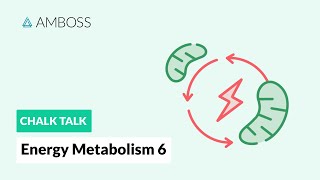 Energy Metabolism  Part 6 The Citric Acid Cycle with molecular structures [upl. by Ludwog643]