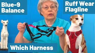 The Ruffwear Flagline Harness VS Blue9 Balance Harness Which Is Better For Your Dog [upl. by Yecats162]