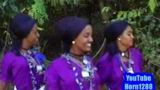 Ethiopian Traditional Music  ዋኘው አሸናፊ  ጅንኑ ጎጃሜ [upl. by Eimaraj]