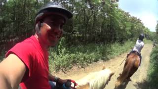 Horseback Riding Kualoa Ranch Hawaii [upl. by Inahs]