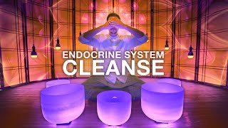 Complete Hormone Balancing Sound Bath  Full Body Endocrine Cleanse for The Major Glands amp Chakras [upl. by Llevert]