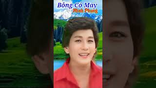 Bông Cỏ May câu 6 Minh Phụng [upl. by Zsamot784]