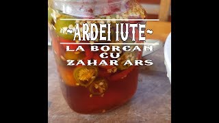 Reteta de ardei iute la borcan cu zahar ars caramel si otet  Bucataria lui Radu [upl. by Tnaryb933]