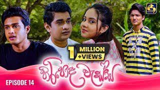 HIRIPODA WESSA  EPISODE 14  හිරිපොද වැස්ස  3rd October 2024 [upl. by Tabbi568]