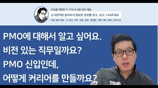 질의응답 PMO 직무 어떤가요 비전은 커리어관리는 [upl. by Ayotaj]