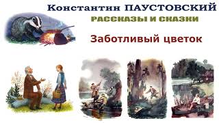 КПаустовский quotЗаботливый цветокquot  Рассказы и сказки Паустовского  Слушать [upl. by Astraea]