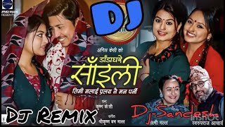 New Nepali LokDohori Dj Remix 2021  डाडा घरे साइली  Timi Malai Pralaya Nai Man Parni Dj Remix [upl. by Amata]