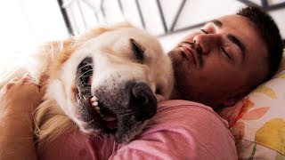 How My Dog Sleeps with Me in Bed [upl. by Nidnerb]