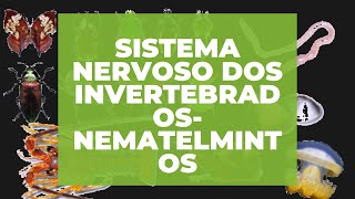 SISTEMA NERVOSO DOS INVERTEBRADOS NEMATELMINTOS [upl. by Atsirak]