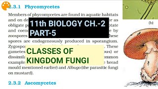 Class 11 BiologyCh2 Part5Classes of FungiStudy with Farru [upl. by Benni]