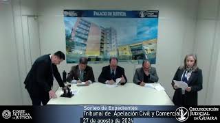 Sorteo de Expedientes del Tribunal de Apelación Civil y Comercial  27082024 [upl. by Yramesor746]