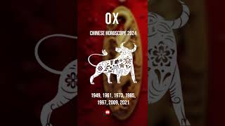 Ox Zodiac Forecast 2024  Year of the Wood Dragon  Chinese Astrology Insights amp Predictions [upl. by Wira525]