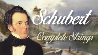 Schubert Complete String Quartets [upl. by Fakieh]