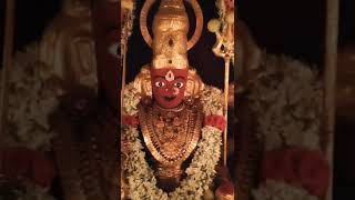 today sri peddamma thalli darsanamశ్రీ జూబ్లీహిల్స్ పెద్దమ్మతల్లీ దర్శనము 270924 శుక్రవారం🕉️💐🐯🙏 [upl. by Medovich]