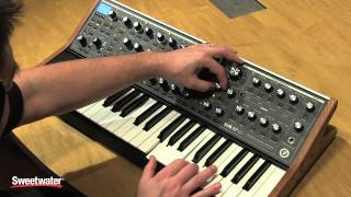 Moog Sub 37 Synthesizer Tweaking — Daniel Fisher [upl. by Atiuqer]