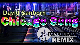 David Sanborn  Chicago Song GNatural Remix [upl. by Dorry78]