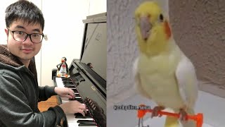 Pitch Perfect Bird sings Addams Family Theme [upl. by Aeikan]