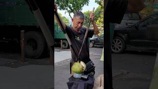 Amazing way to cut coconut by Malaysian Coconut Master [upl. by Gnoix]