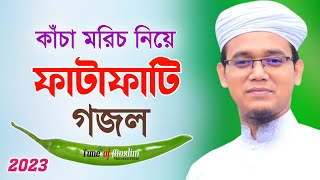 কাঁচা মরিচ নিয়ে ফাটাফাটি গজল Kacha Morich  Kalarab Ghazal  Kolorob Gojol  Ghazal  Islamic Song [upl. by Notsnorb]