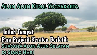 Alun Alun Kidul Tempat Latihan Para Prajurit Keraton Yogyakarta [upl. by Jenilee]