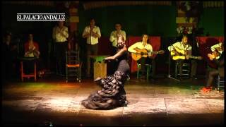 Espectáculo Flamenco en Sevilla  Tablao Flamenco El Palacio Andaluz [upl. by Mcnully]