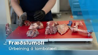 Fræðslumoli  Úrbeining á lambalæri [upl. by Navannod780]