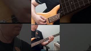 Djavan  Lilás  Bass Cover Shorts [upl. by Aridni]