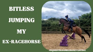 Jumping my Ex Racehorse bitless  Hopefully Eventing [upl. by Judas]