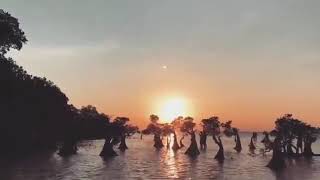 WALAKIRI BEACH in SUMBA Island 😊 [upl. by Schiff]