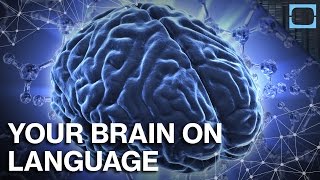 How Does Language Change Your Brain [upl. by Yrevi803]