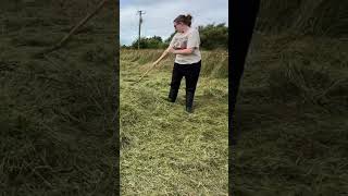 What life looks like when you’re starting a homestead in Ireland 🇮🇪 homestead offgrid cottage [upl. by Ecnerewal126]