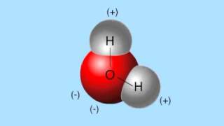 hydrogen bonds [upl. by Delorenzo]