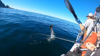 Mooching for King salmon in Alaska  Mid June 2021 [upl. by Kipton343]