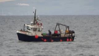 Fruitfull Creel Fishing Boat Coast Of East Neuk Of Fife Scotland [upl. by Ahsyla]