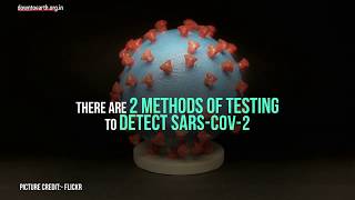 COVID19 Methods of testing available to detect novel coronavirus SARSCoV2 [upl. by Boelter]